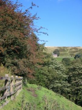 Nidderdale